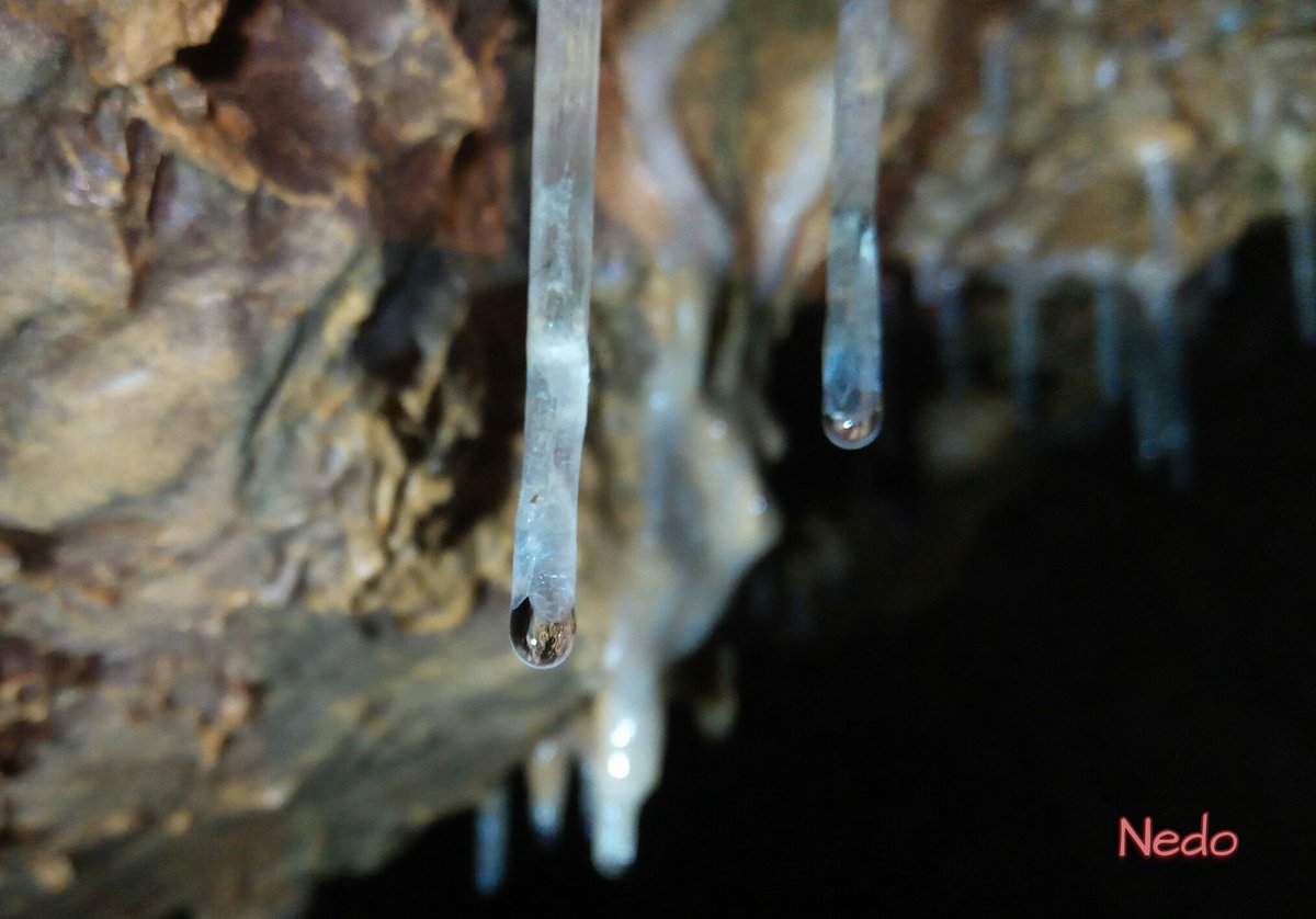 speleofotocont's tweet photo. Goccia, Drop. Ph. @NedoLuca @AntrodelCorchia #wonderland #sfc18 #speleofotocontest #stayunderground #speleofotography #speleology #speleofotografia #speleofoto #speleofotografi #nofilter #nofilterneeded #cosicomè #caves #ilovespeleo #photonature #underground #geophoto https://t.co/wocKNpbFEf