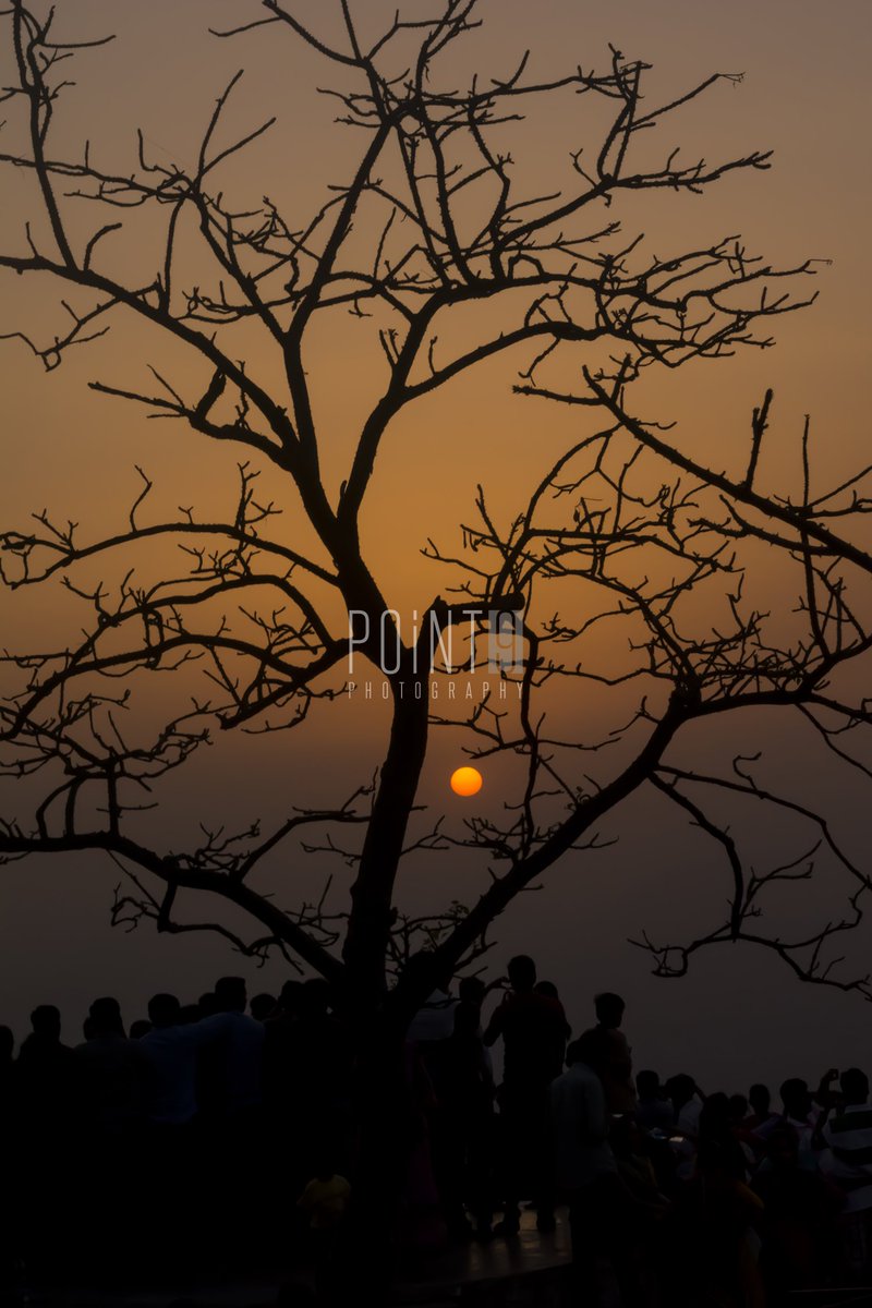 Point9Photos's tweet image. Sunset Sky and Dead Tree
