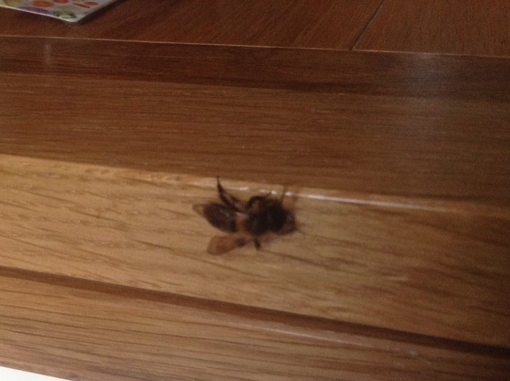 Liz Daly💜 tweet media