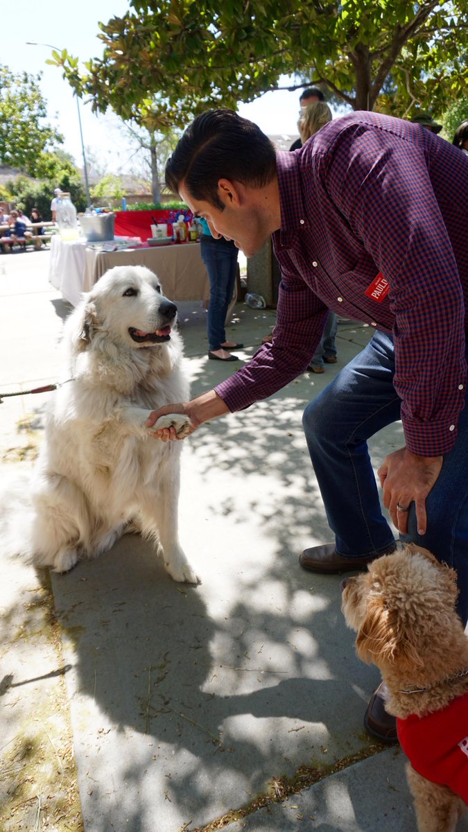 JimmyPaulding's tweet photo. Jimmy is pawsitively going mutts over the opportunity to meet so many new voters!  It's pawsible that on June 5th, we will see furrocious turnout! https://t.co/0F3si6OnU2