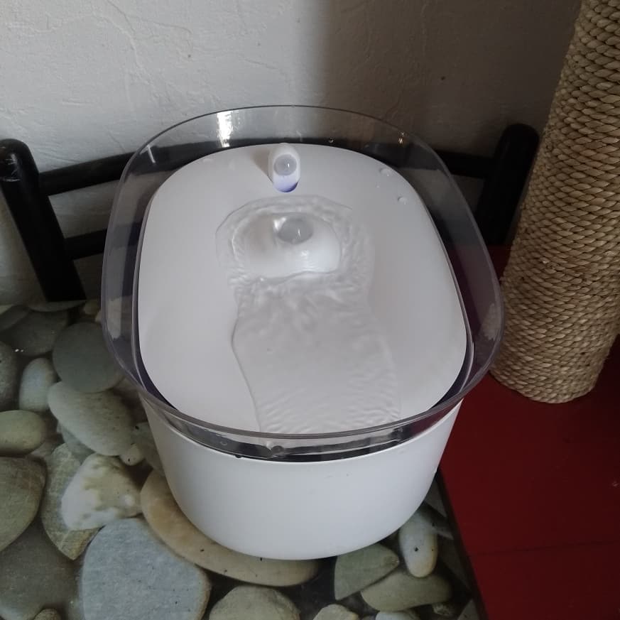 Honeyguaridan Hashtag On Twitter