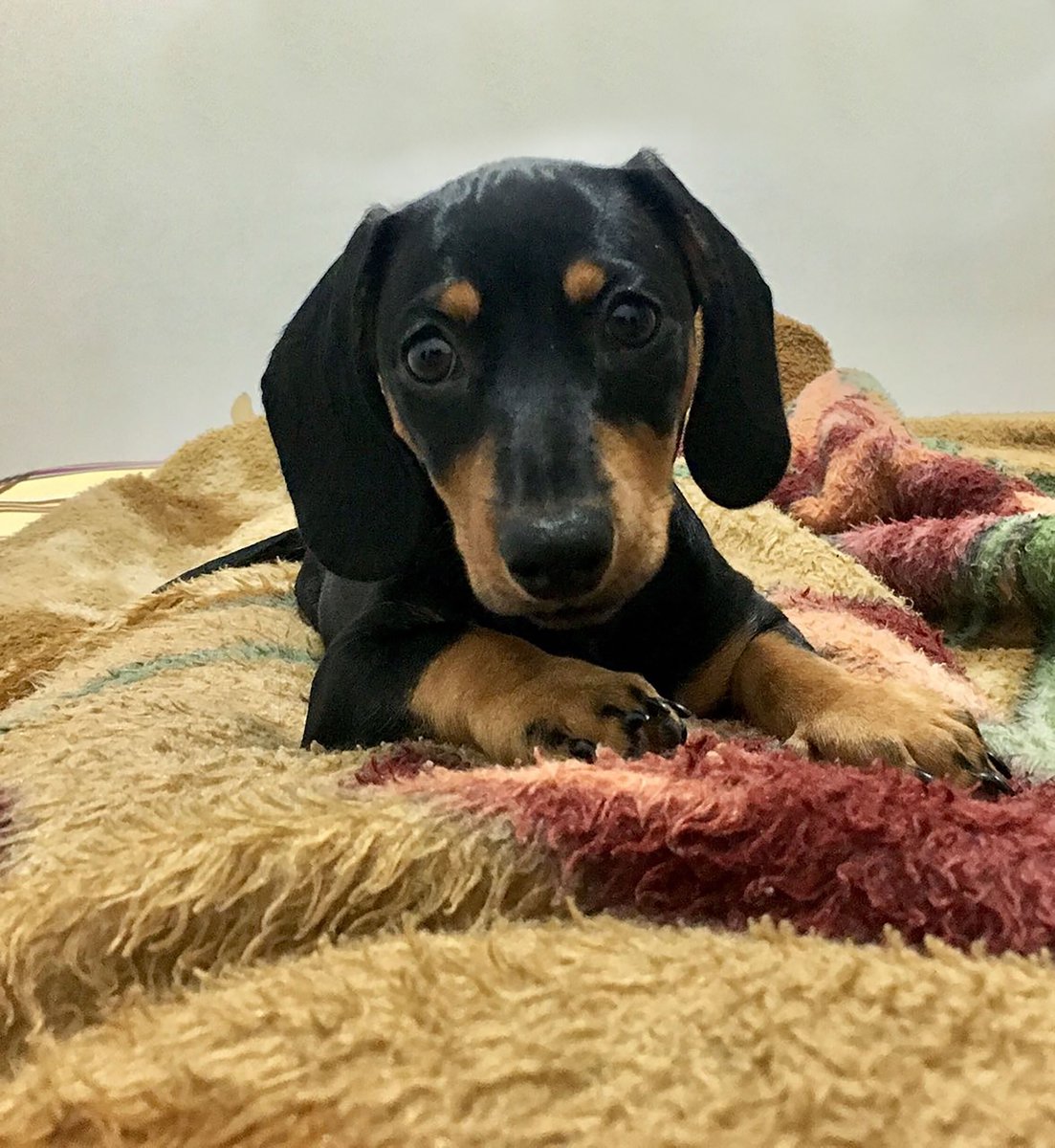 Daniel Cruz(timbeta) (@dnlmdcda) on Twitter photo 