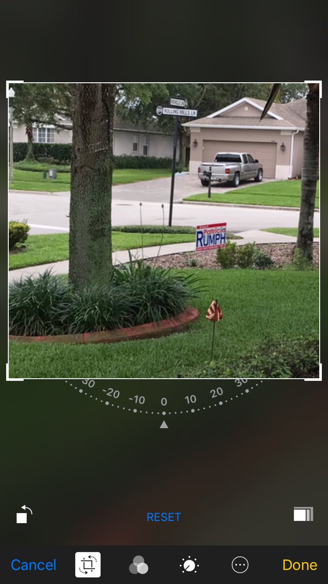 WeaverForWomen's tweet photo. Got campaign sign? This proud supporter of Candidate Patricia Rumph for Orange County Commissioner does. Get yours. https://t.co/CbbQKHZI2B
