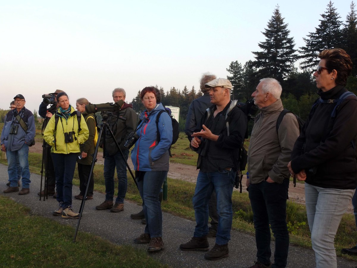 Leuke excursie mogen geven namens VWG de Kempen in de @Vogelweek
Avondwandeling in het Leenderbos met Erik Schram @ErikBoswachter van @staatsbosbeheer
#Nachtzwaluw, #Houtsnip #Geelgors