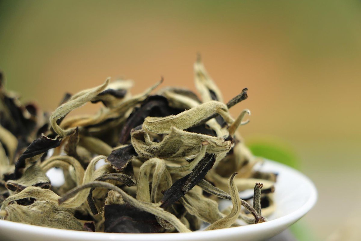 Wat is 'moonlight white' thee? teasenz.com/chinese-tea/or… #wittethee #puerhthee