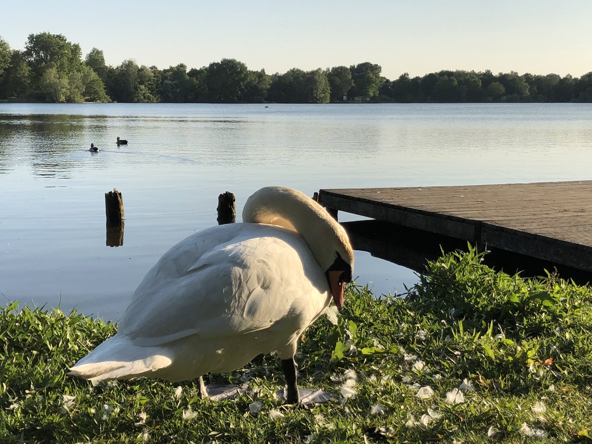 Eigen Center Parcs tweet media