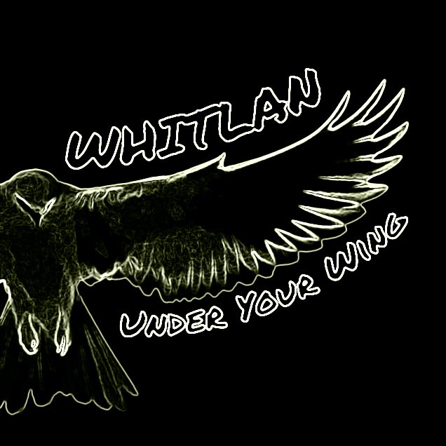 BrandonWhitlan's tweet image. All songs for the album are recorded and we intend to release the album later this year.  More info to come!  whitlan.com