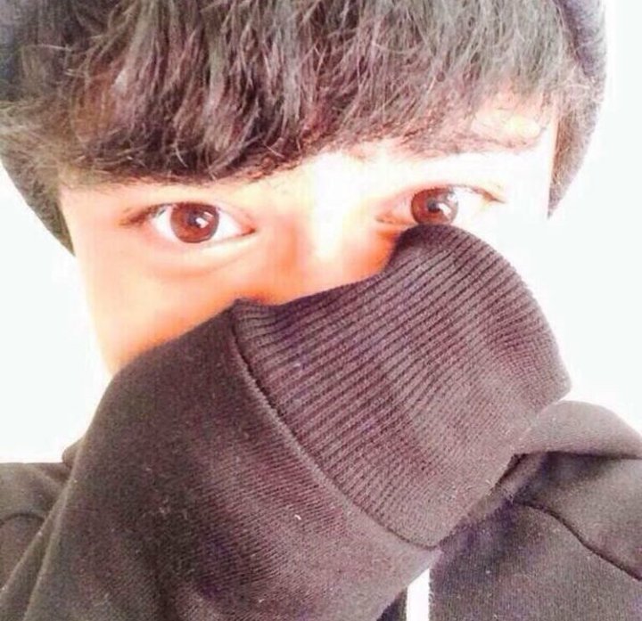 sigh_sos's tweet photo. https://t.co/zdobCAOC92