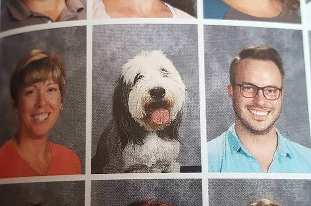 amberperly's tweet photo. 18 Of The Absolute GOOOOOOODEST Yearbook Photos Of 2018Hot Trending Buzz news https://t.co/oxbBsewwnJ