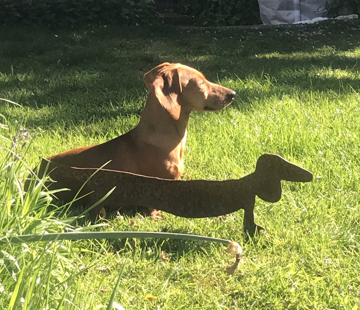 Maisiesausage's tweet image. Ava and her doppelgänger in the sun #whichisreal