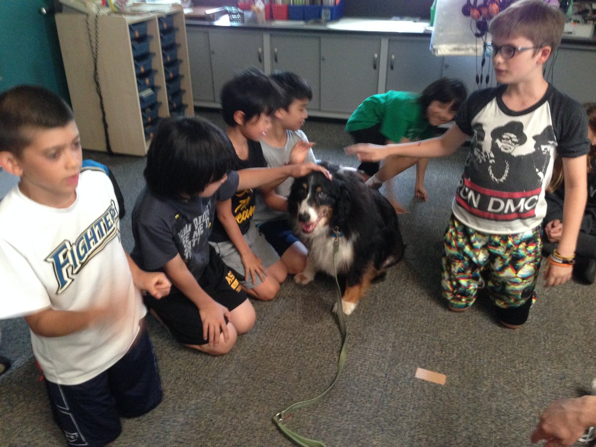 5KO_Rocks's tweet photo. Buddy Time with Scout 1/2 https://t.co/bSvowLMeNt