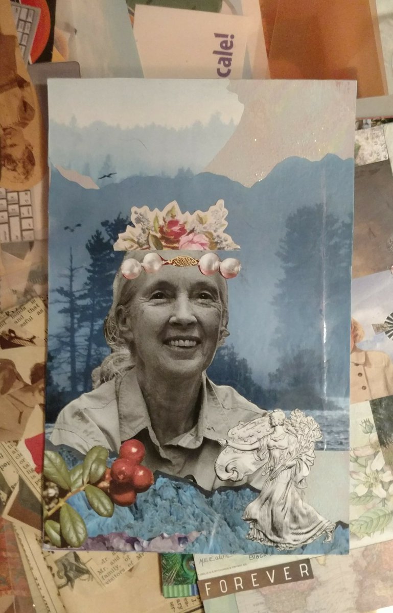 carrie_cat's tweet photo. Working on this collage tonight https://t.co/EZXvrgh2Ng