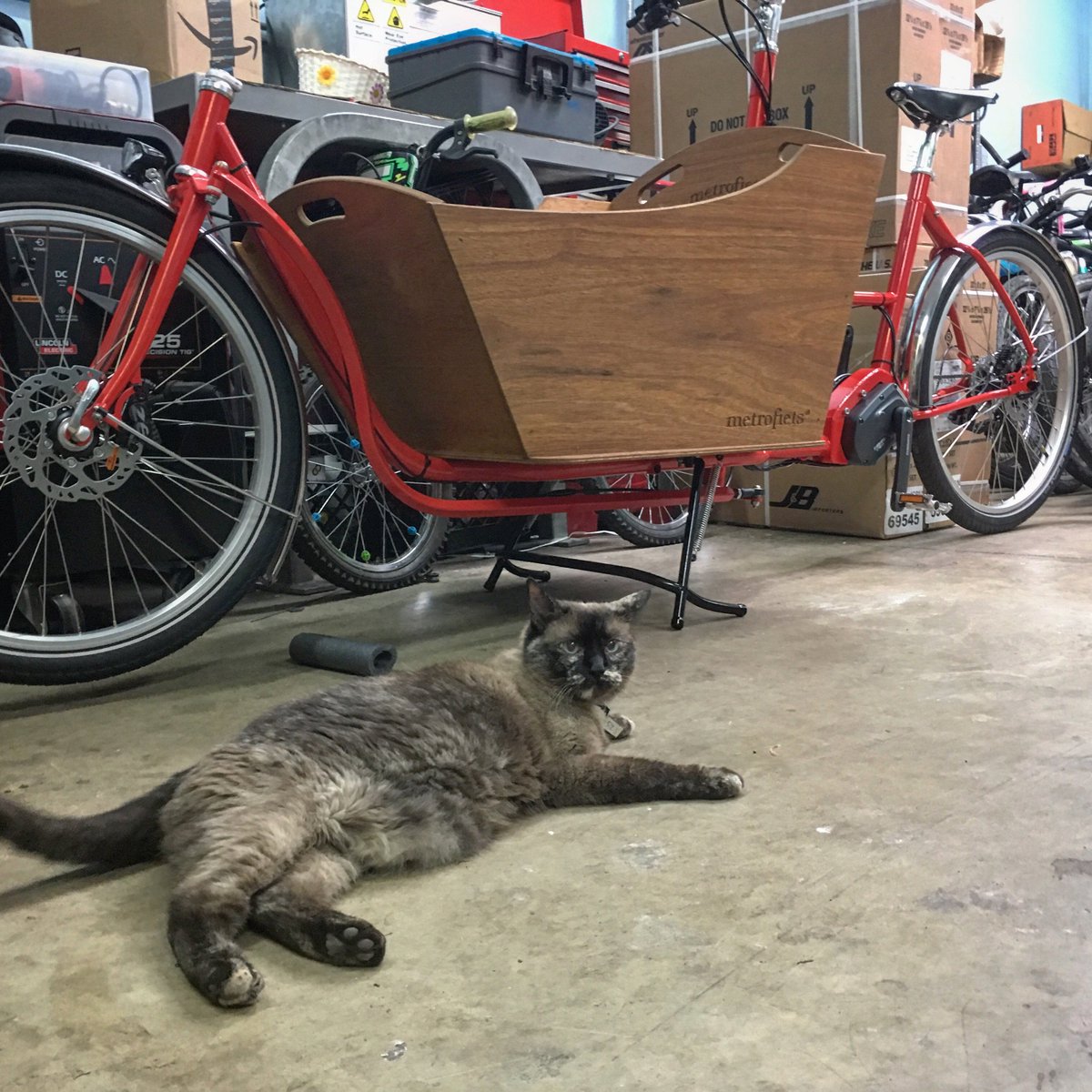 metrofiets's tweet photo. All good things come to an end. 

After 11 years of making cargo bikes, Metrofiets will cease production at the end of the month…

See link in bio for more info. ❤️ https://t.co/xjIugRJSSH