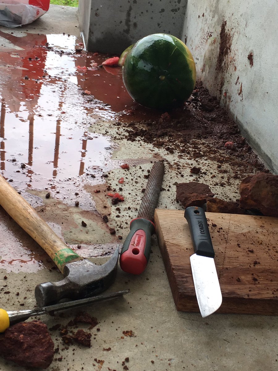 IBJSnell's tweet image. Would a Metahuman Olympian be better with a sharp or blunt attacking appendage? An exoskeleton made of rigid metal, wood or an absorbent substance like foam sheet? All tested on a poor watermelon for the @isb_brunei #Group4Projects