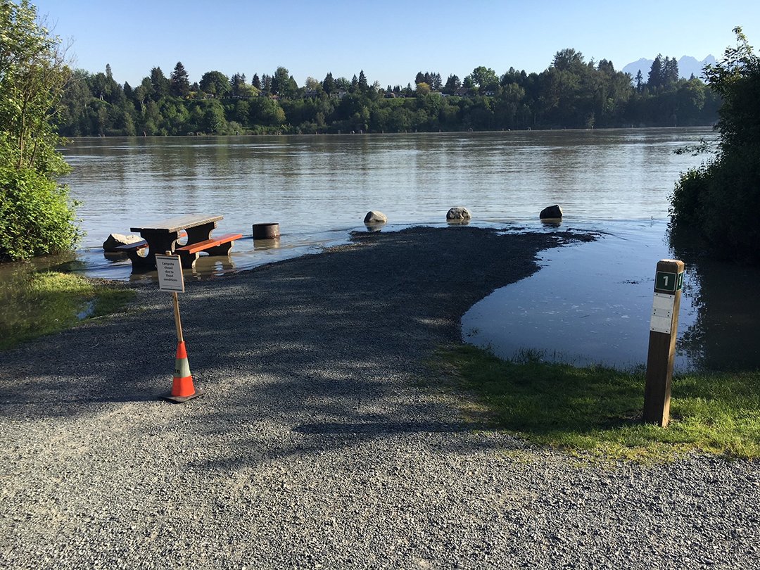 MetroVancouver's tweet photo. Spring freshet is flooding some #RegionalParks trails along #FraserRiver. Pls comply with posted signs. #BarnstonIsland #BraeIsland #ColonyFarm #DeasIsland #DerbyReach #GlenValley #KanakaCreek #MatsquiTrail #SurreyBend #PittRiver #BCflood https://t.co/tvH5S7heod https://t.co/GT1wTCZrGI