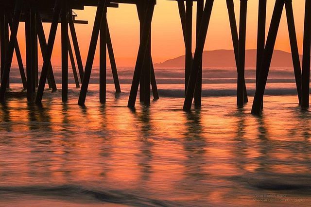 Pismo Beach tweet media