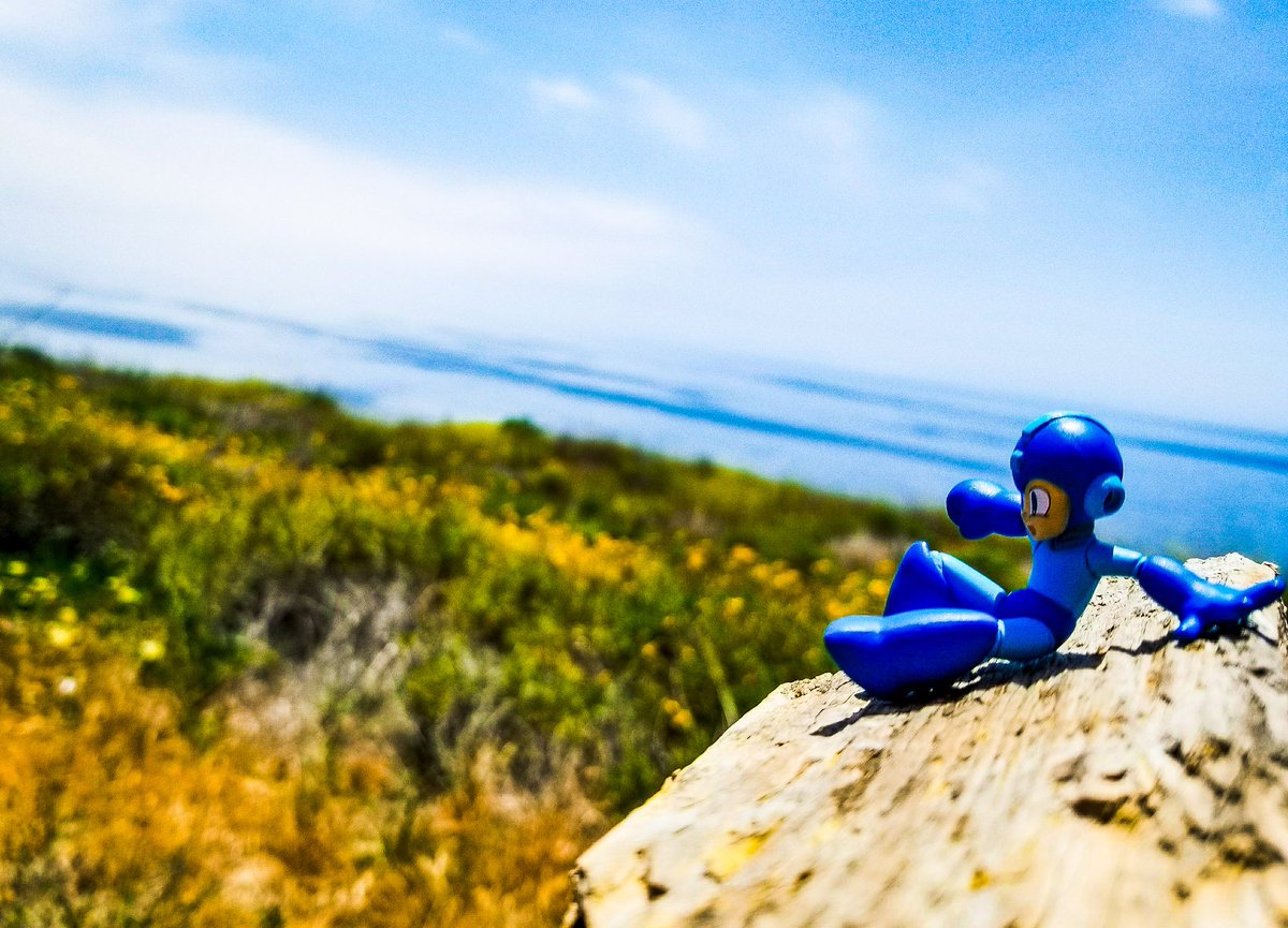 ThaFort_21XX's tweet photo. As MegaMan gazes over the ocean, he reflects on 30 years of turmoil and triumph. The Earth is at peace, but he knows he must prepare for his next challenge, #MegaMan11!!! @RobMan_World @Protodude @GrandCookieI @toumeishonen #MegaMan #MegaMan30th #Gachapon https://t.co/BOjvZWAr8V