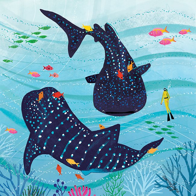 emma_j_designs's tweet photo. Day 49/100 Couple of whale sharks for #the100dayproject #100daysoftheocean #ocean #sealife #fish #illustration #Illustrator #illustrators #drawing #artlicensing #brightlicensing #Editorial #kidlitart https://t.co/Fho9chkUnH