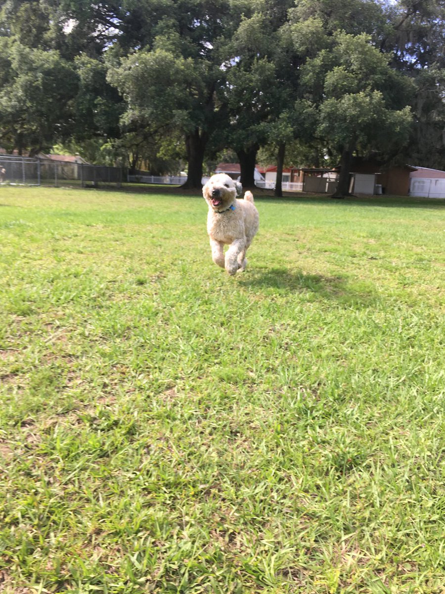 ❤️ his smile !!!😁😁😁