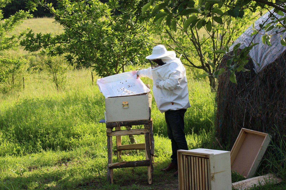 BeeKovanBal's tweet photo. #Kandıra #kocaeli #arı #bal #kovan #BeeKovanBal #balkovanı #bees #beekeeper #honey #honeybees #bee #beekeeperlife #beekeepers #beehive #honeybee https://t.co/jV8pXiAze2