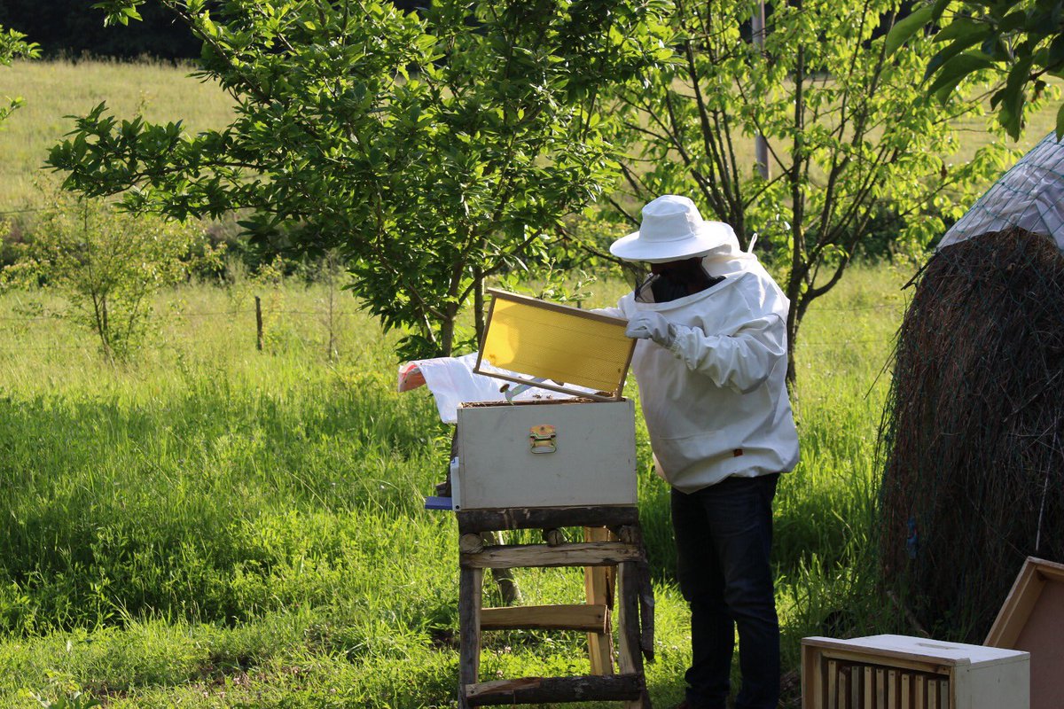 BeeKovanBal's tweet photo. #Kandıra #kocaeli #arı #bal #kovan #BeeKovanBal #balkovanı #bees #beekeeper #honey #honeybees #bee #beekeeperlife #beekeepers #beehive #honeybee https://t.co/jV8pXiAze2