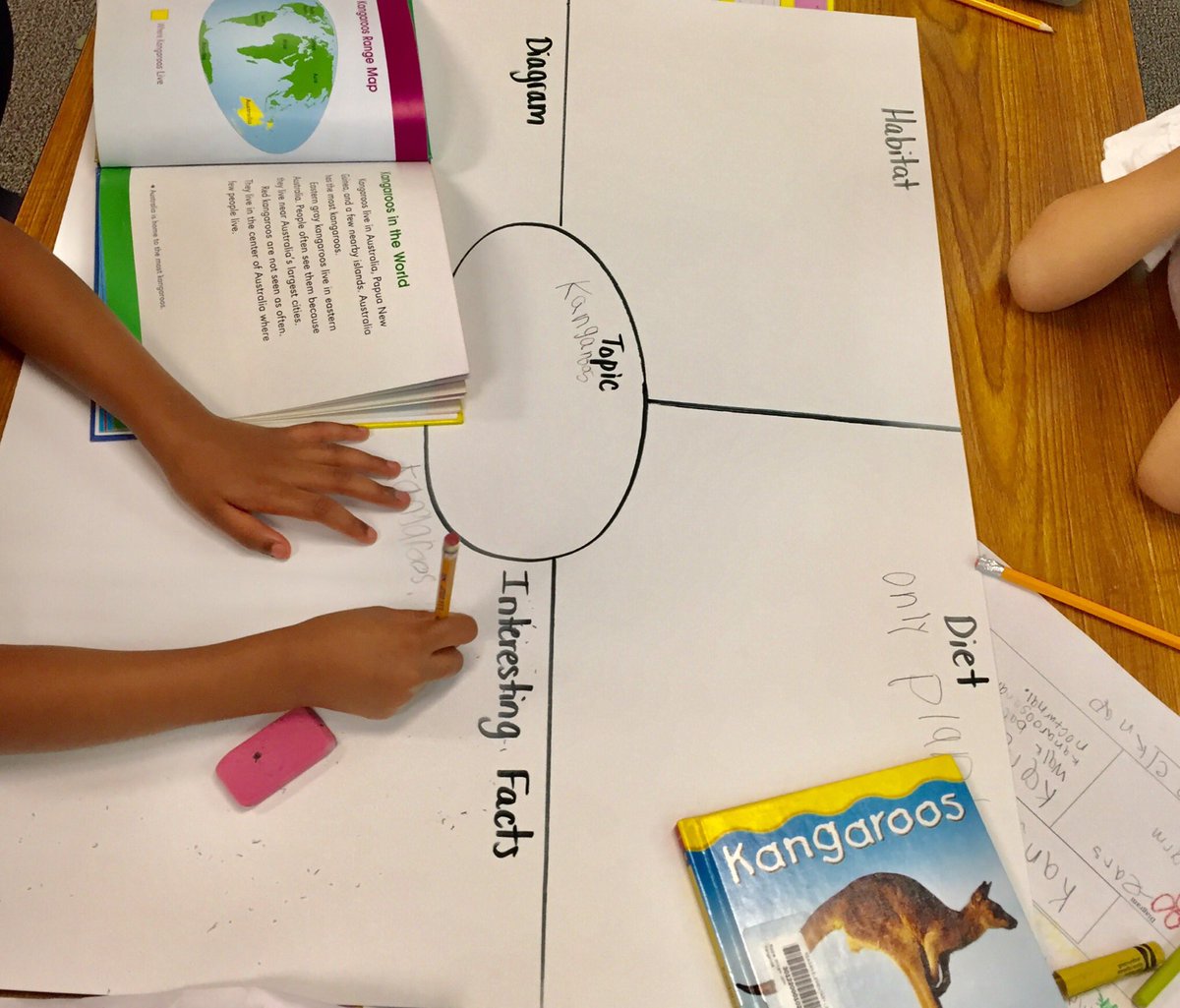 RHoefar's tweet photo. I love to see them work together during their research projects. They each have a role and get so excited. #ReaganRays https://t.co/vcUIpQ0oo5