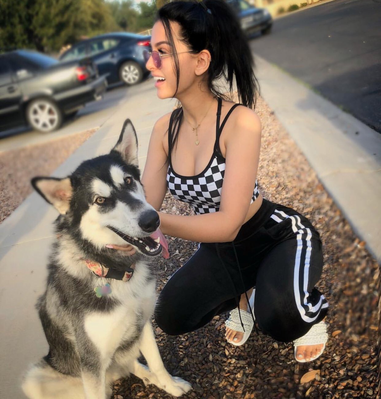 Wolfie. 🐺 on Twitter: "@sssniperwolf wow! It's been a long time since I