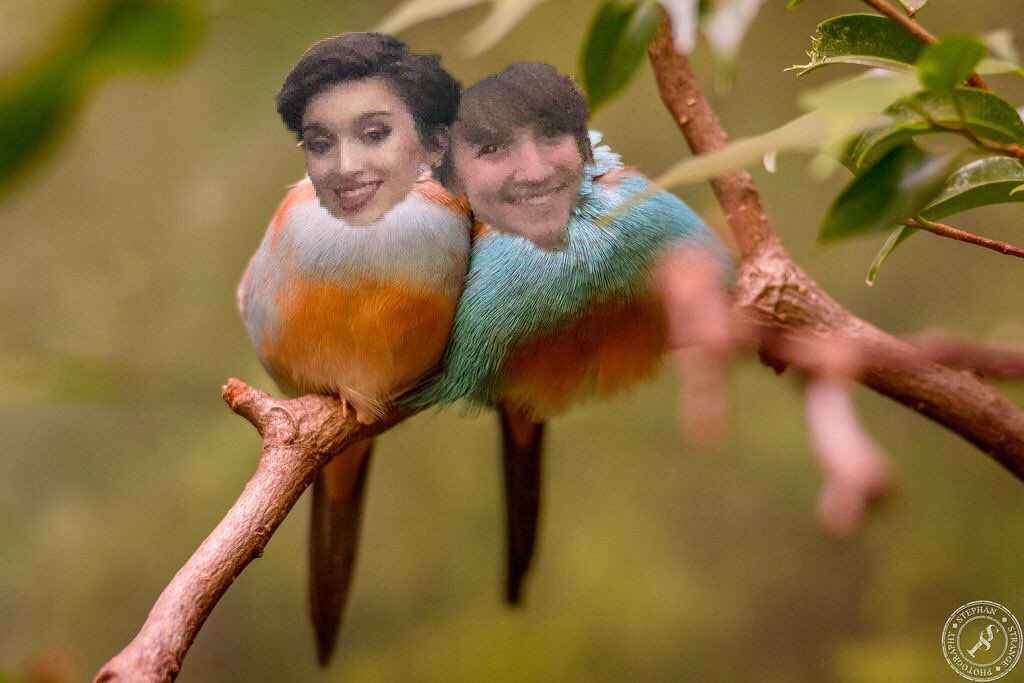 BHSasBirds's tweet photo. It’s been real, now we must fly off! #finalmigration #offtocollege @juliaabanks @pefferfish2000 https://t.co/IehHxrzkZh