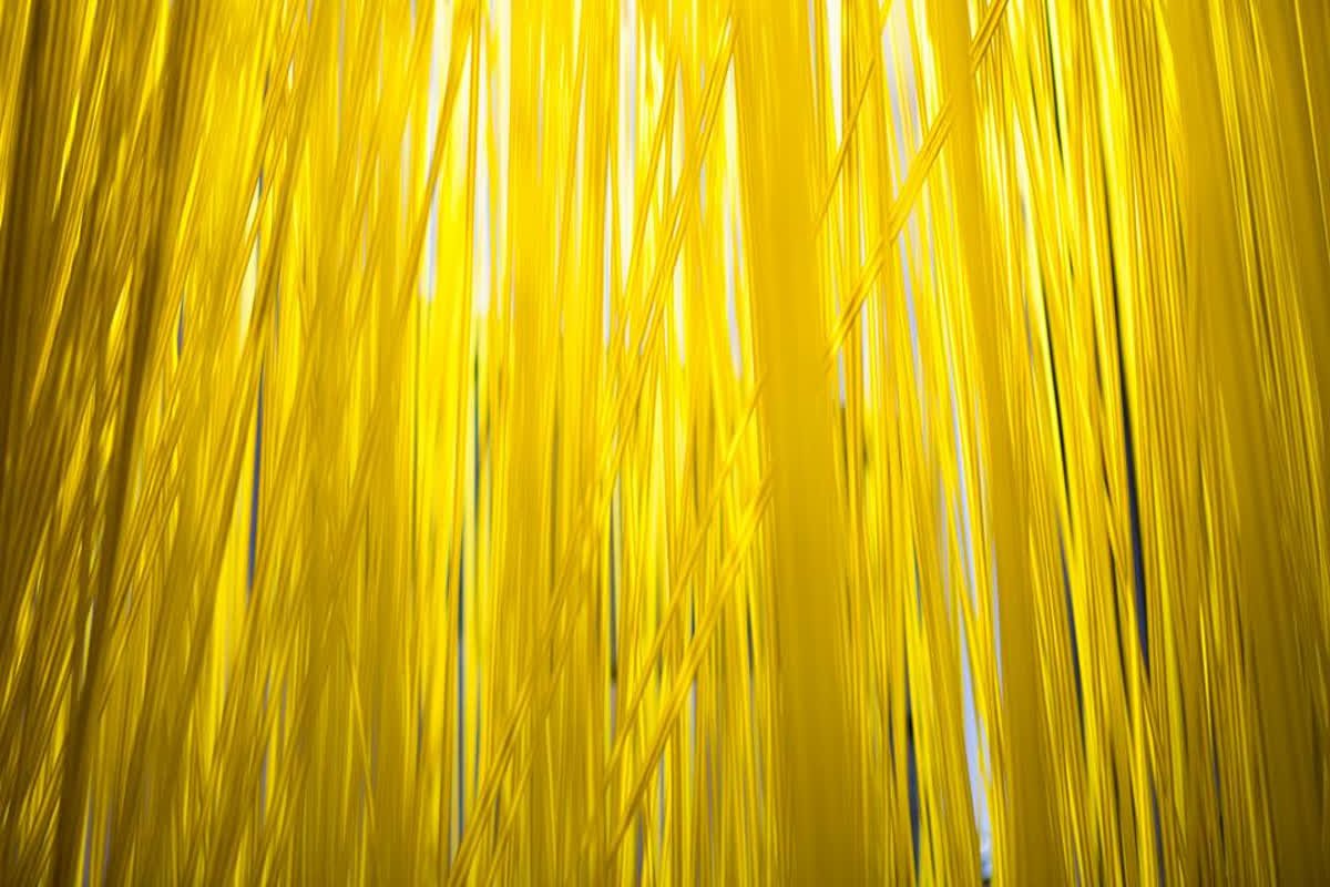 SoraaHome's tweet photo. Yellow: The color of freshness, happiness, optimism and more 🍋

#Yellow #SoraaHome #Fresh https://t.co/DAlXp0GxwD
