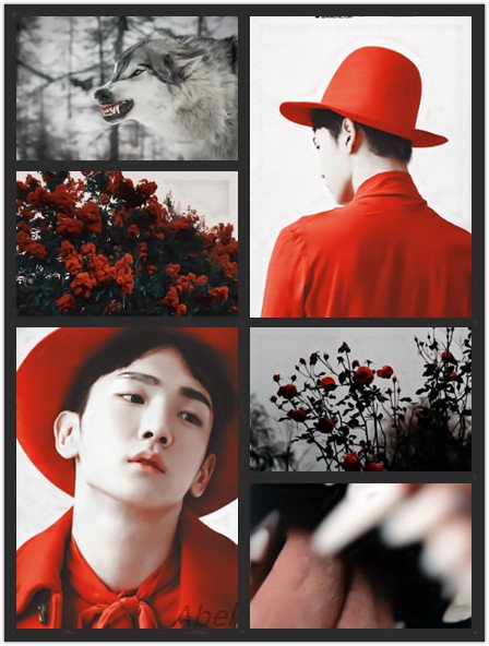 taebelito's tweet image. ✧ㅤㅤ
ㅤㅤㅤㅤㅤ𝘗𝘢𝘳𝘢 𝘶𝘯𝘢  𝐂𝐚𝐩𝐞𝐫𝐮𝐜𝐢𝐭𝐚 𝐑𝐨𝐣𝐚, 𝘦𝘯 𝘣𝘶𝘦𝘯𝘢 𝘮𝘰𝘳𝘢𝘭, ㅤㅤㅤㅤㅤ
ㅤㅤㅤㅤㅤ𝘤𝘰𝘯𝘴𝘪𝘴𝘵𝘦 𝘭𝘢 𝘧𝘦𝘭𝘪𝘤𝘪𝘥𝘢𝘥  𝘦𝘯 𝘴𝘦𝘳 𝘤𝘰𝘮𝘪𝘥𝘢 𝘱𝘰𝘳 𝘦𝘭 𝐋𝐨𝐛𝐨.ㅤㅤㅤ・✧ㅤ