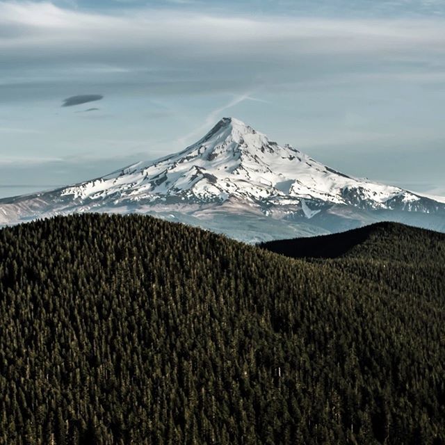TheOutbound's tweet photo. Whether you want a short day hike, a perfect sunset spot, or an overnight nearby, Oregon's Chinidere Mountain should be on the list.
-
📷: @wheldenseth #everyoneoutside #theoutbound #exploremore #getoutside #earthpix #exploregon #oregonadventure #need… https://t.co/flqy4Ht3hn https://t.co/Ho0OTLhY6T