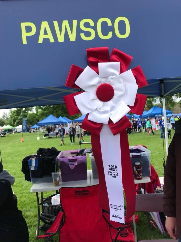 PawsCoTeam's tweet photo. Thank you to everyone who came out and supported PawsCo during Denver's @runcolfax Marathon this weekend! #PawsCo won best #charity partner! Looking forward to seeing you all again next year! https://t.co/e7nRvs56gn