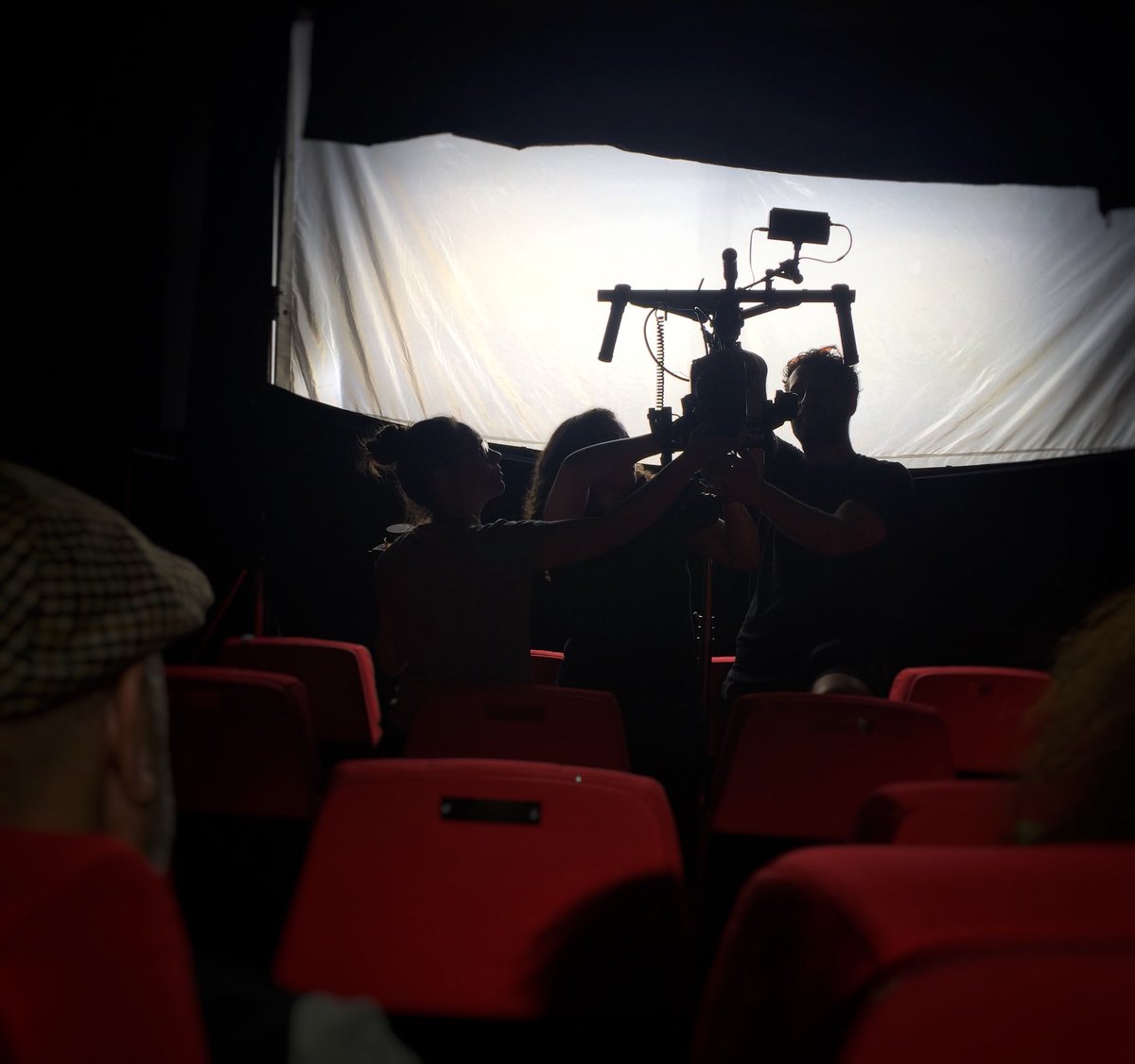 Dagmar Scheibenreif tweet media