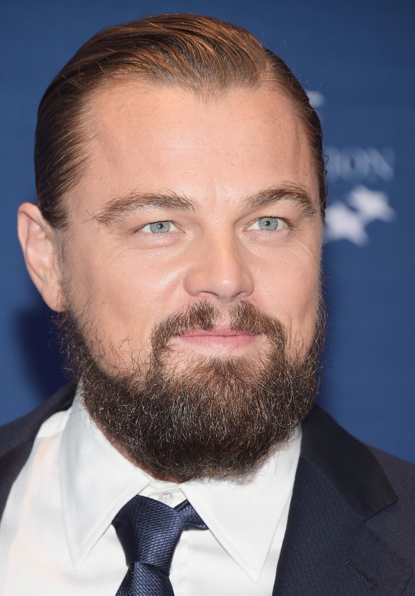 IbaiLlanos's tweet photo. Impactante evolución de Leonardo DiCaprio https://t.co/MFDEORGxP5