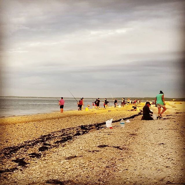 EastEndExp's tweet photo. Fishing at Cedar Beach... Looks like everyone had the same idea! #eastendexperience #northforkspring #Hamptonsspring #peconicbay #fisharebiting https://t.co/p0uEs63kMS https://t.co/cn1Lew2cbm