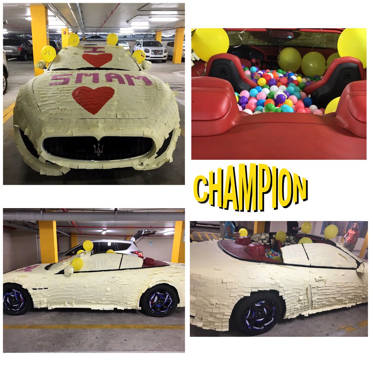 Christina Bauer tweet media