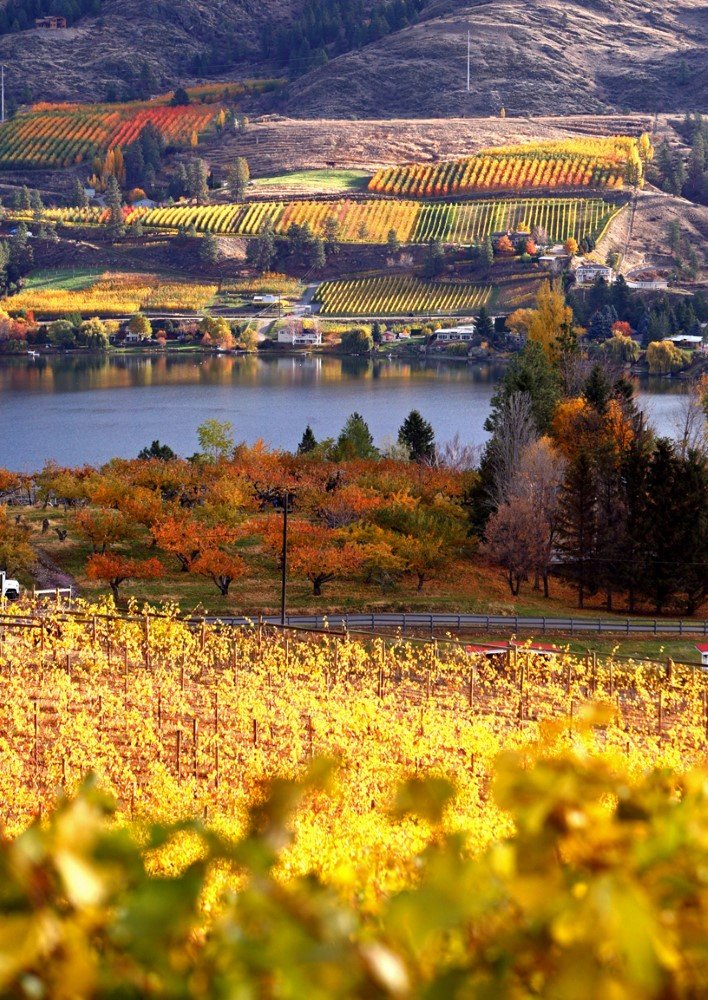 Hello Ontario, Quebec and the Maritimes. We hope you had a great long weekend. Please note shipping to The National Wine Awards of Canada from the Ontario consolidation point ends Friday, May 25. Are your wines registered. See you in Penticton. winealign.com/awards/2018/02…