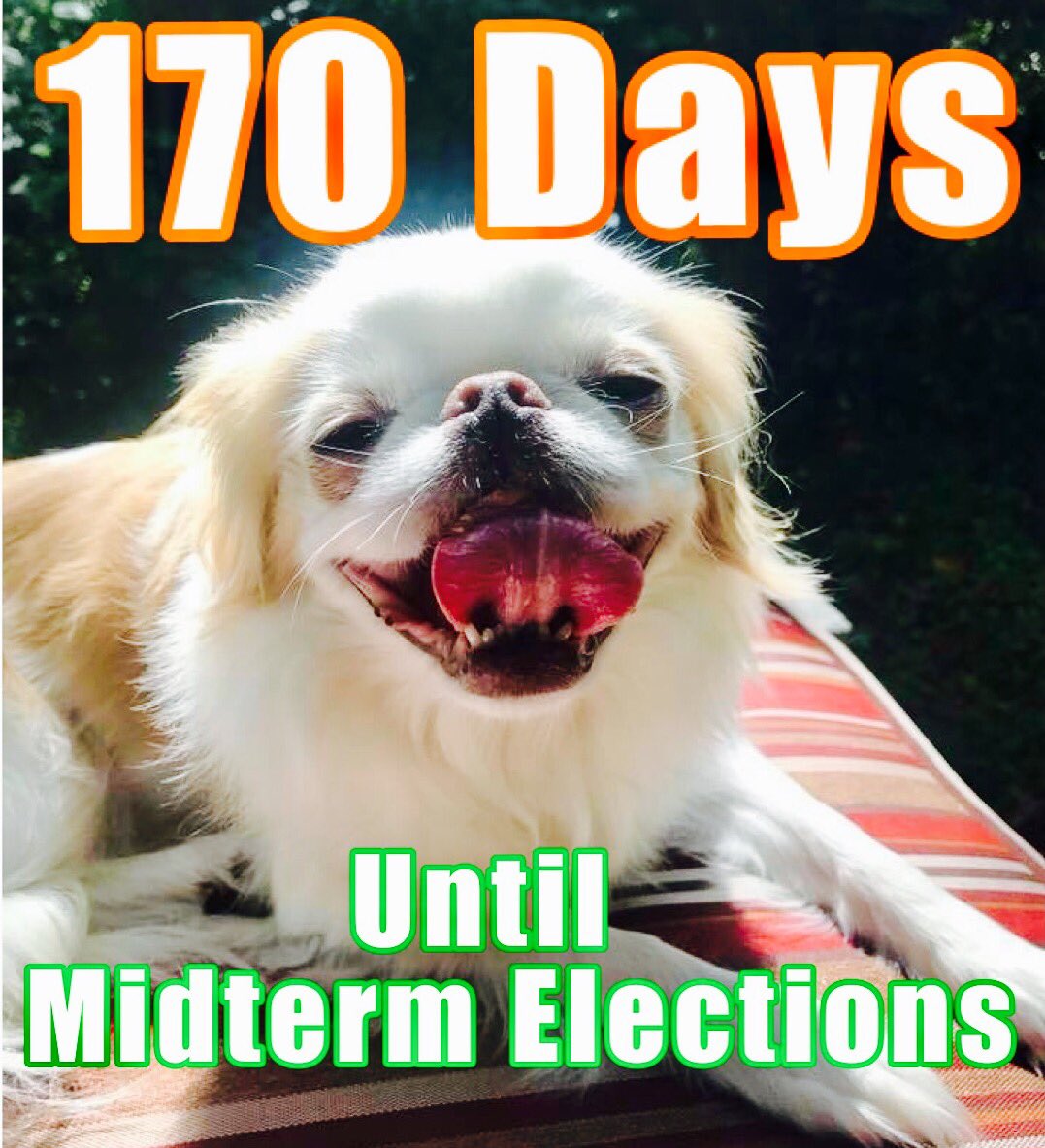 days2midterms's tweet photo. As the weather heats up, remember that these summer months present a tremendous opportunity to affect the course of history. If we wait until the cool weather returns, we'll run out of time to connect with as many voters as we need to. #Midterms https://t.co/IgEnUcKN7J