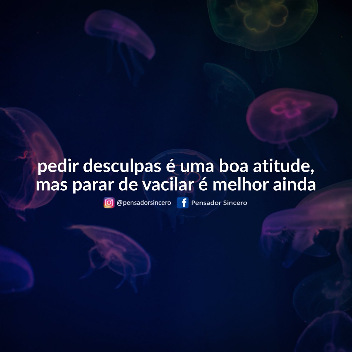 Testemunho: \, image size:1200x1200