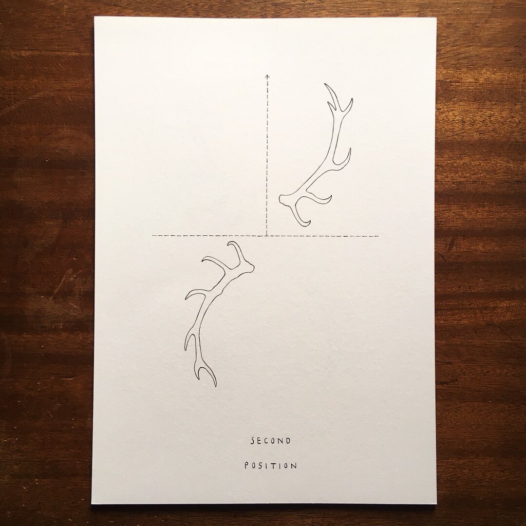 HannaTuulikki's tweet photo. Continuing to experiment with Highland Fling notation: tracing arm positions with red deer antlers... 🦌#deerdancer #performingmasculinity #sketchbookextract https://t.co/8Vu0rXoiaE