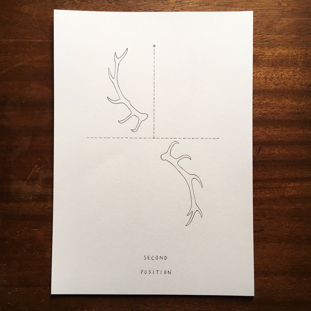 HannaTuulikki's tweet photo. Continuing to experiment with Highland Fling notation: tracing arm positions with red deer antlers... 🦌#deerdancer #performingmasculinity #sketchbookextract https://t.co/8Vu0rXoiaE