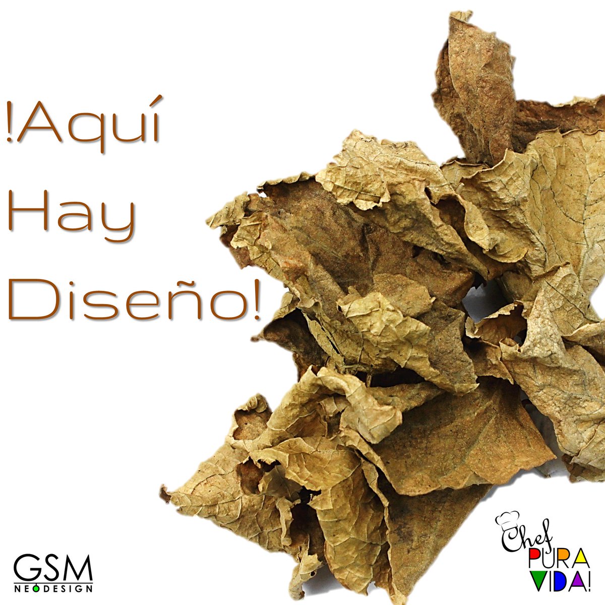 GSM_NeoDesign's tweet photo. #DESIGHTHINKING #DRYLEAVES #CHAYOTE #DESIGN #CONTEMPORARYJEWELRY #SOON https://t.co/Gfq5MU89Hq