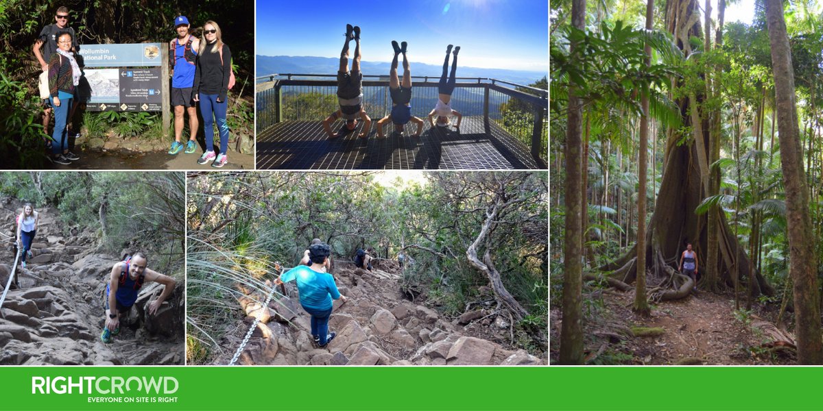 RightCr0wd's tweet photo. Hiking and headstands! Our Australian QA team took a chain climb challenge up Mt Warning over the weekend. #rightcrowd #activeteams #teamwork https://t.co/qYC886aeHb