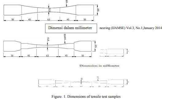 download cultural evolution