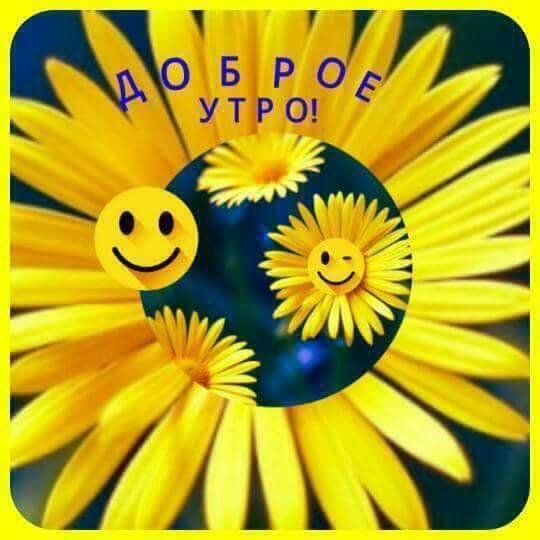 ???????? ЗА ПУТИНА ???????? on Twitter: &amp;amp;quot;@TGpavlova @stills2007 Доброе утро,  Уважаемые ! https://t.co/RX4lFh9Y3c&amp;amp;quot; / Twitter