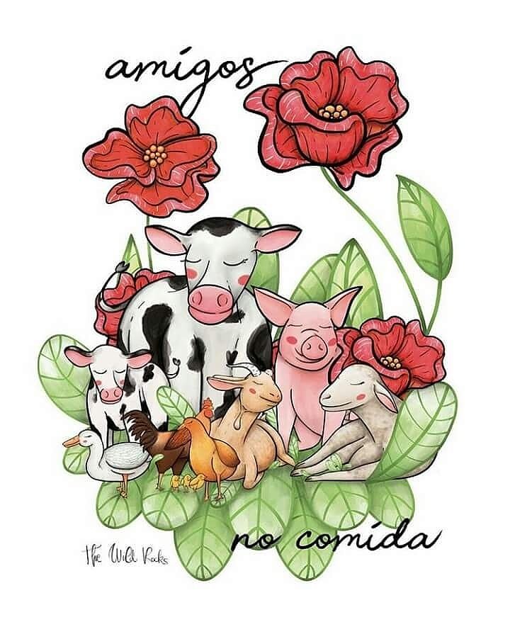 VeganismoLife's tweet photo. Si deseas que llevemos pláticas de Veganismo a tu escuela o empresa solicitalas, son completamente gratuitas. #vegan https://t.co/90ueRj2ndn