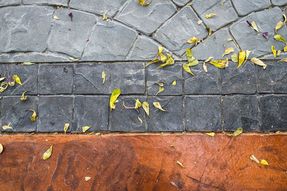 ElPasoConcrete_'s tweet image. Stamped concrete is a beautiful addition to any pool deck or patio. Our experts are ready to help create your vision so call today: 915.801.7424
#StampedConcrete #BackyardUpgrades