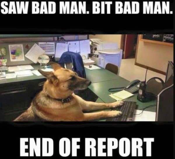 photo Bork Bork Nom Nom Meme donut operator ar twitter guys this