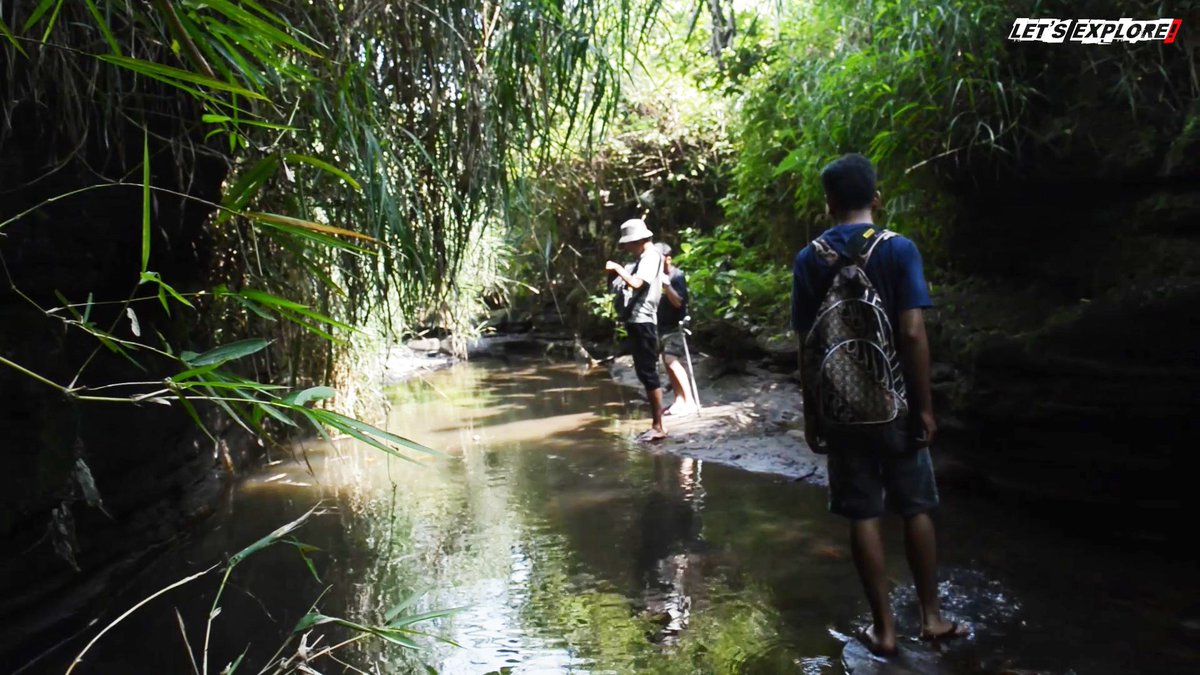 tmlessstudio's tweet photo. Watch Let's Explore - WILD QUEST  Series on YouTube! Link down below

https://t.co/TbLkPWe4Dd

Episode 3 coming soon!!

#letsexplore #tmoviesofficial #documentary #adventure #reptiles #animals #indonesia #wildquest https://t.co/UiFh3ZJL47