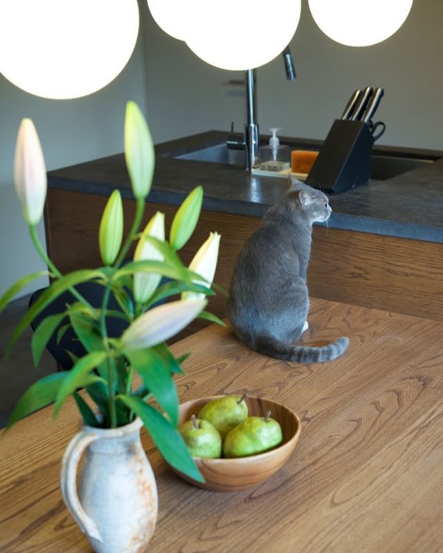 もるくす建築社